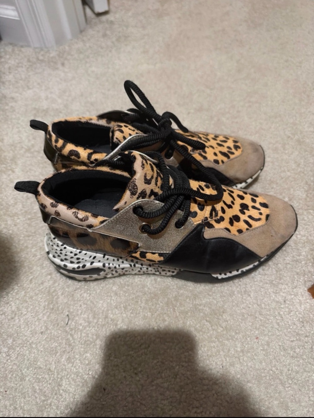 Steve Madden Leopard Print Mixed-Material Sneakers - Black/Tan